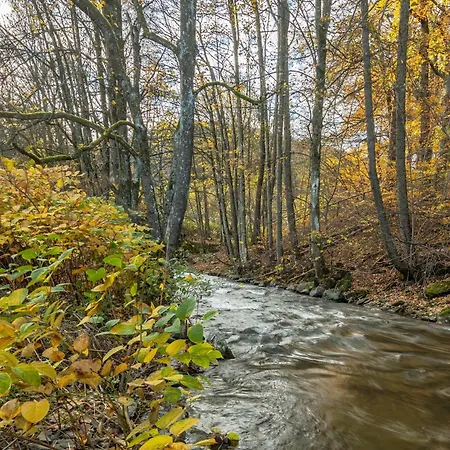 Schlossmuehle In Appartamento *
