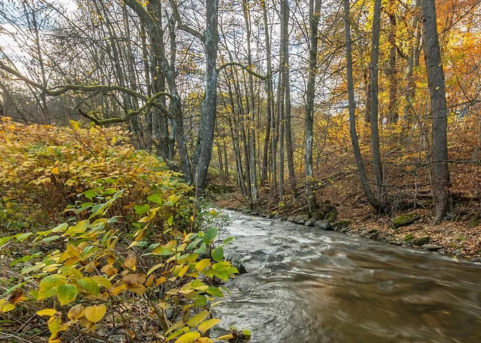 Schlossmuehle In Daire *